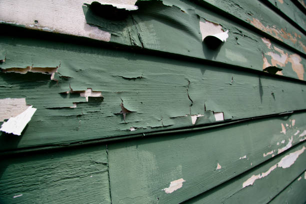 Affordable Siding Repair and Maintenance Services in College Place, WA